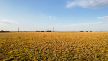 Improved Grass Tract, Expired CRP, Close to town - image 28