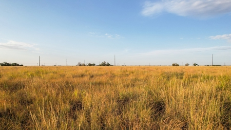 Improved Grass Tract, Expired CRP, Close to town - image 29