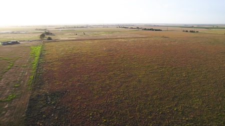 Improved Grass Tract, Expired CRP, Close to town - image 1