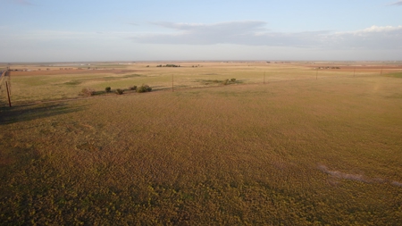 Improved Grass Tract, Expired CRP, Close to town - image 3