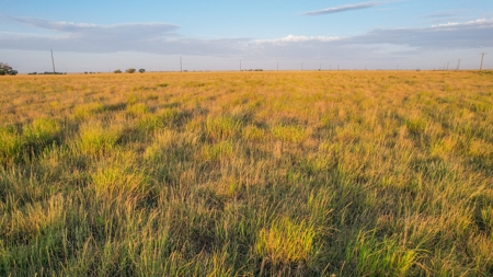 Improved Grass Tract, Expired CRP, Close to town - image 7