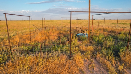 Improved Grass Tract, Expired CRP, Close to town - image 10