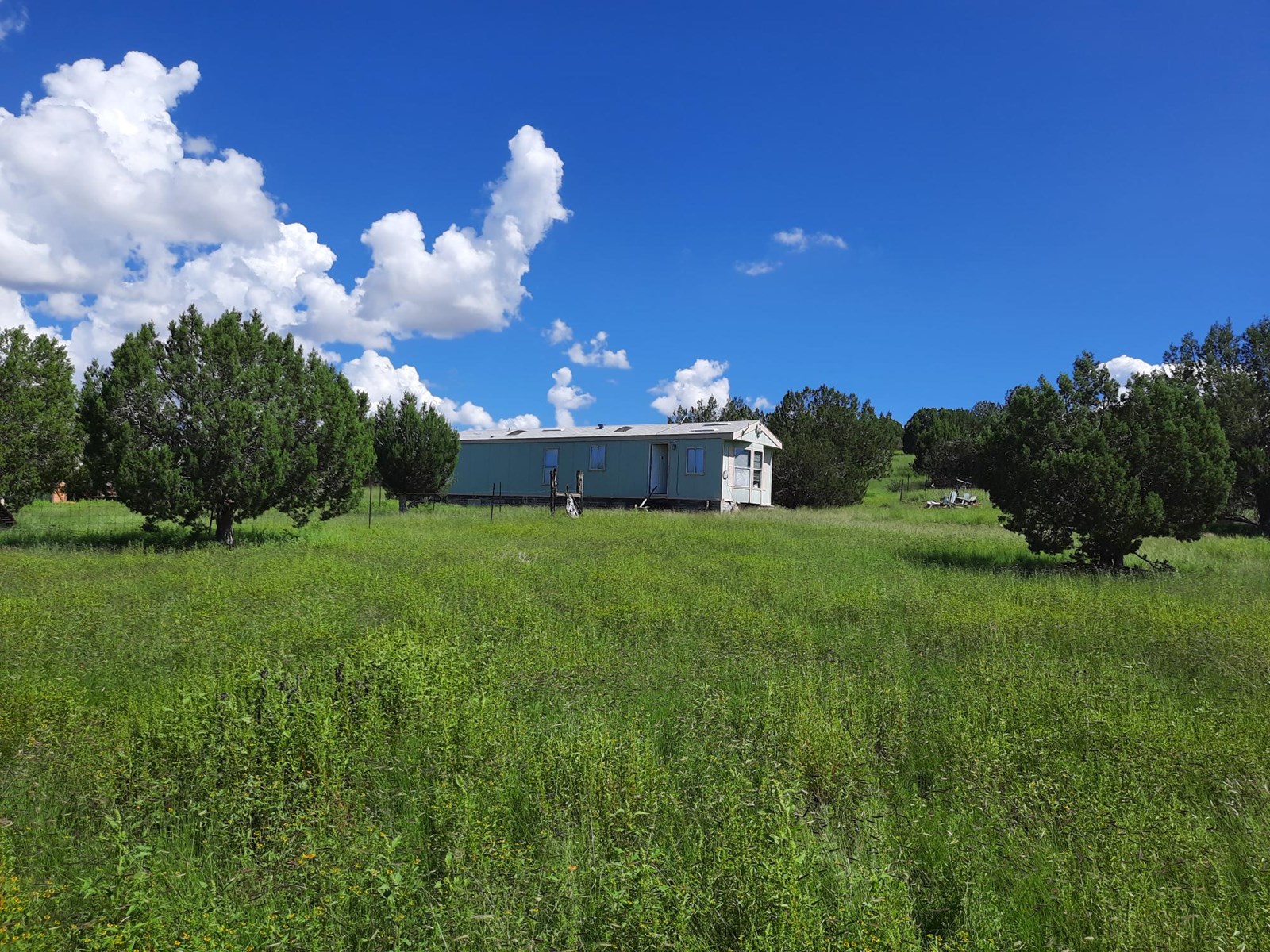 This 47 acre offgrid homestead ranch has a well ! - image 39