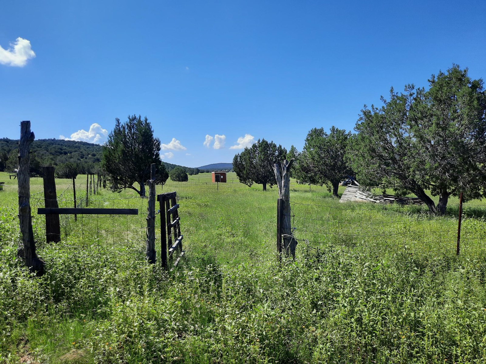 This 47 acre offgrid homestead ranch has a well ! - image 22