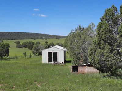 This 47 acre offgrid homestead ranch has a well ! - image 15