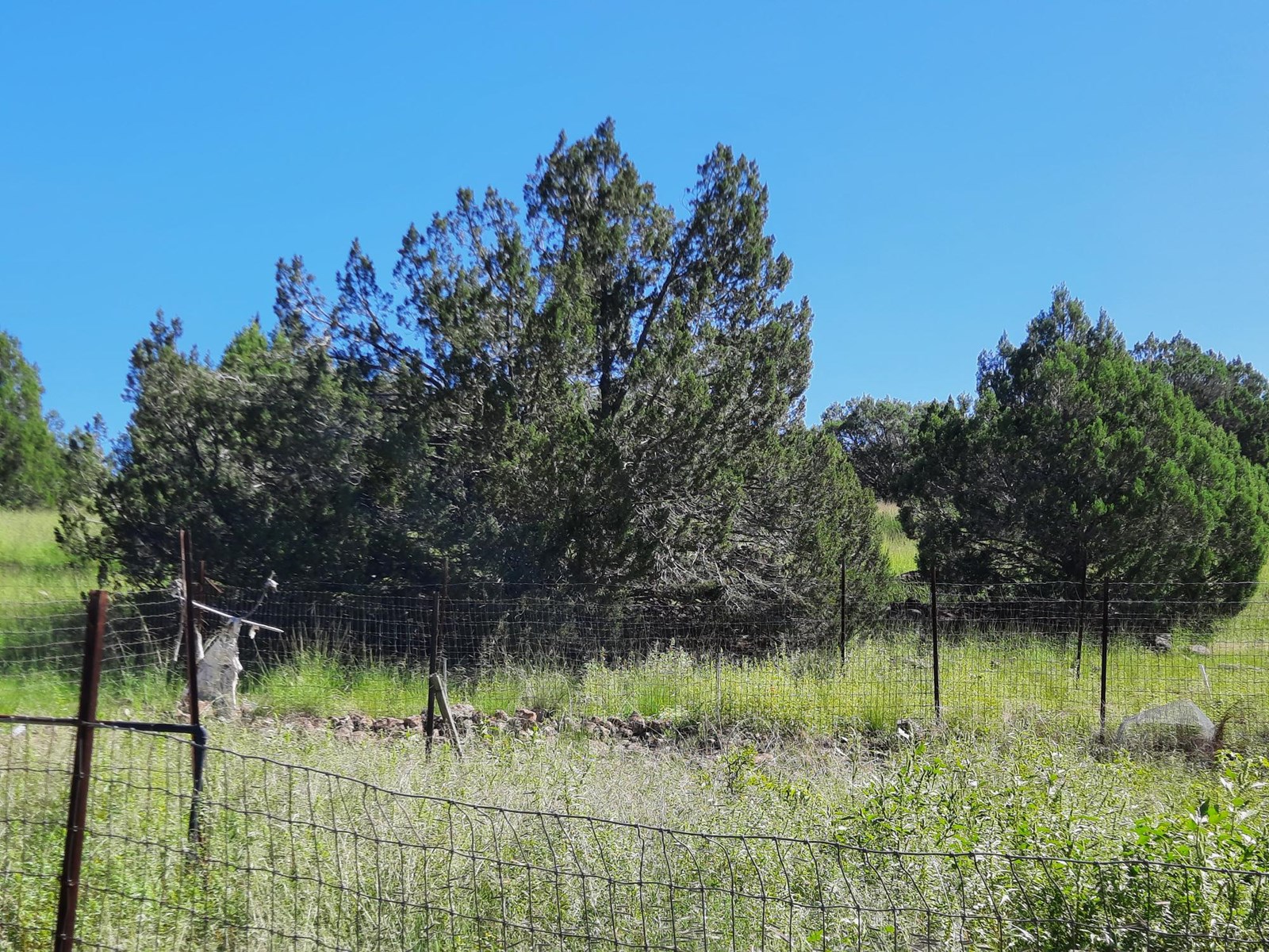 This 47 acre offgrid homestead ranch has a well ! - image 13