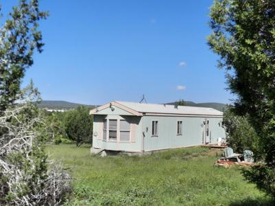 This 47 acre offgrid homestead ranch has a well ! - image 11