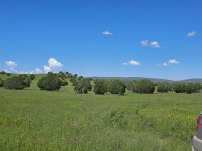 This 47 acre offgrid homestead ranch has a well ! - image 25