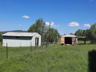 This 47 acre offgrid homestead ranch has a well ! - image 14