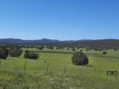 This 47 acre offgrid homestead ranch has a well ! - image 10