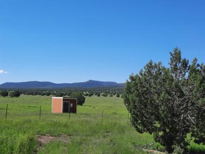 This 47 acre offgrid homestead ranch has a well ! - image 2