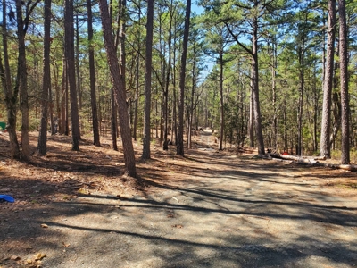 Cabin On 2.5 Acres In Kiamichi Wilderness For Sale - image 3
