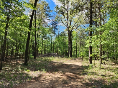 Income Producing Property – Ouachita National Forest - image 29