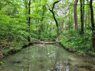 Income Producing Property – Ouachita National Forest - image 33