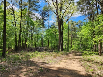 Income Producing Property – Ouachita National Forest - image 28