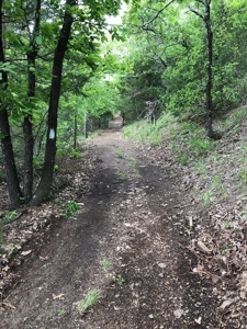 Income Producing Property – Ouachita National Forest - image 34