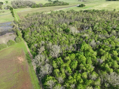 Recreational & Duck Hunting Property in McCurtain County Ok. - image 10