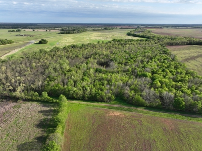 Recreational & Duck Hunting Property in McCurtain County Ok. - image 7