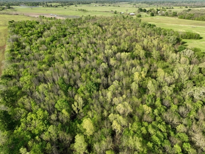 Recreational & Duck Hunting Property in McCurtain County Ok. - image 2