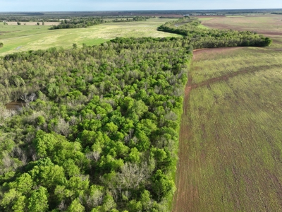 Recreational & Duck Hunting Property in McCurtain County Ok. - image 11