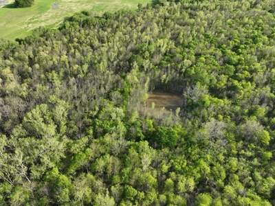 Recreational & Duck Hunting Property in McCurtain County Ok. - image 5