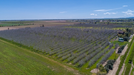 Northern California Country Homes & Land For Sale - image 2