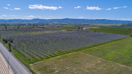 Northern California Country Homes & Land For Sale - image 37