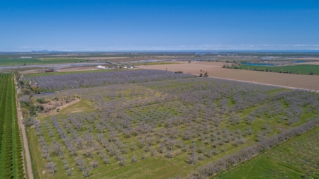 Northern California Country Homes & Land For Sale - image 39