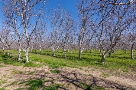 Northern California Country Homes & Land For Sale - image 33