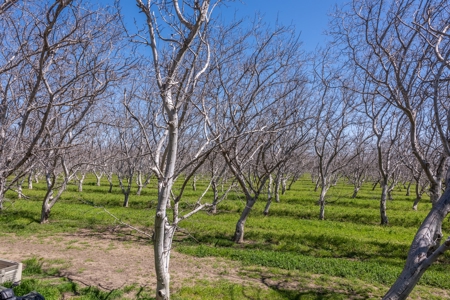 Northern California Country Homes & Land For Sale - image 32