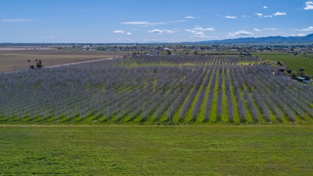 Northern California Country Homes & Land For Sale - image 40