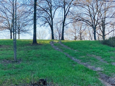Creek Property For Sale In Calico Rock, Arkansas - image 36