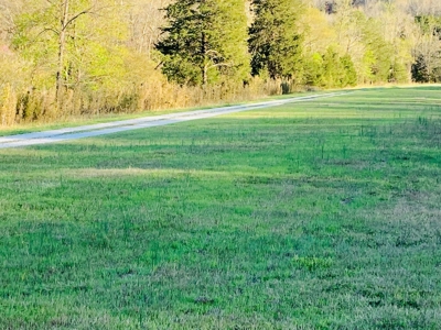 Creek Property For Sale In Calico Rock, Arkansas - image 9