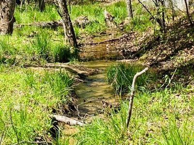 Creek Property For Sale In Calico Rock, Arkansas - image 44