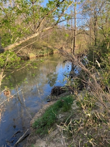 Creek Property For Sale In Calico Rock, Arkansas - image 2