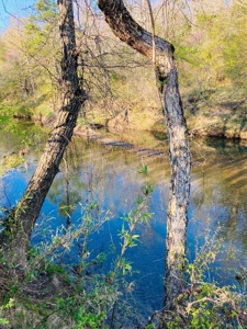 Creek Property For Sale In Calico Rock, Arkansas - image 5