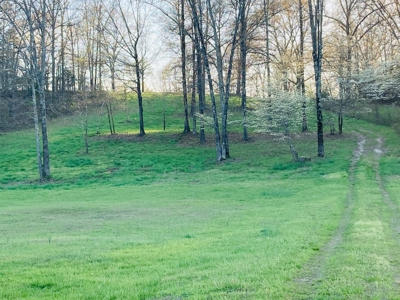 Creek Property For Sale In Calico Rock, Arkansas - image 35