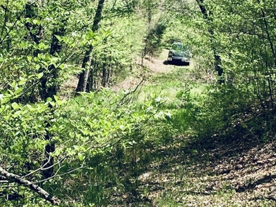 Creek Property For Sale In Calico Rock, Arkansas - image 48