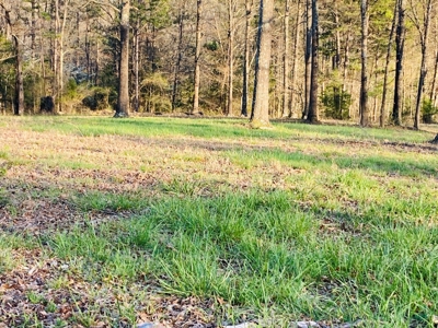 Creek Property For Sale In Calico Rock, Arkansas - image 37
