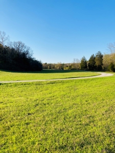 Creek Property For Sale In Calico Rock, Arkansas - image 22