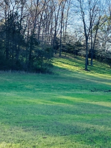 Creek Property For Sale In Calico Rock, Arkansas - image 6
