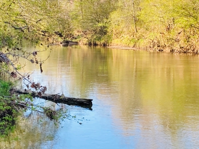 Creek Property For Sale In Calico Rock, Arkansas - image 10