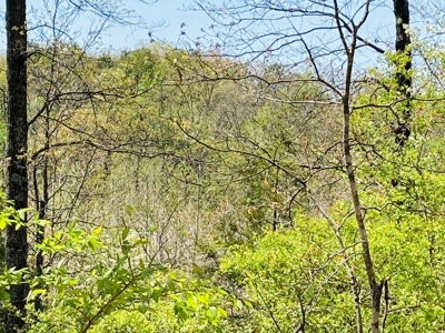 Creek Property For Sale In Calico Rock, Arkansas - image 50
