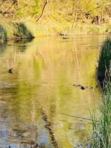 Creek Property For Sale In Calico Rock, Arkansas - image 19