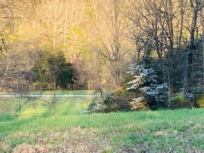 Creek Property For Sale In Calico Rock, Arkansas - image 42
