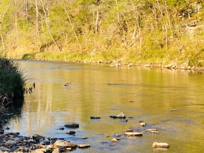 Creek Property For Sale In Calico Rock, Arkansas - image 25