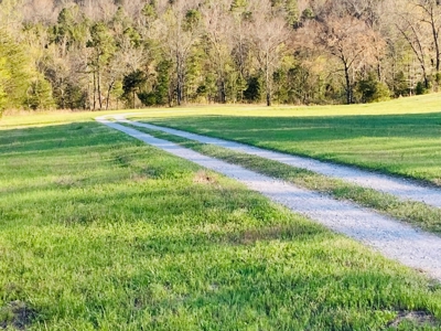 Creek Property For Sale In Calico Rock, Arkansas - image 12