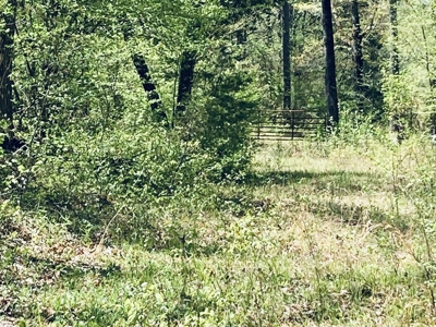 Creek Property For Sale In Calico Rock, Arkansas - image 46