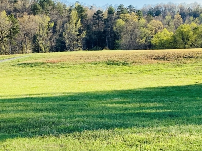 Creek Property For Sale In Calico Rock, Arkansas - image 15