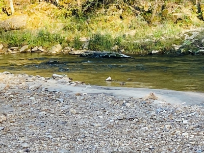 Creek Property For Sale In Calico Rock, Arkansas - image 26
